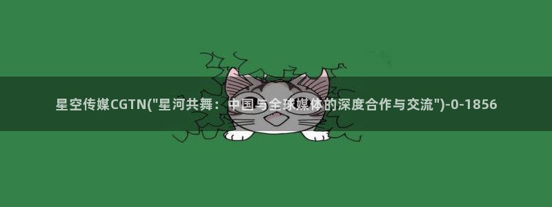 星空传媒郑州：星空传媒CGTN(\