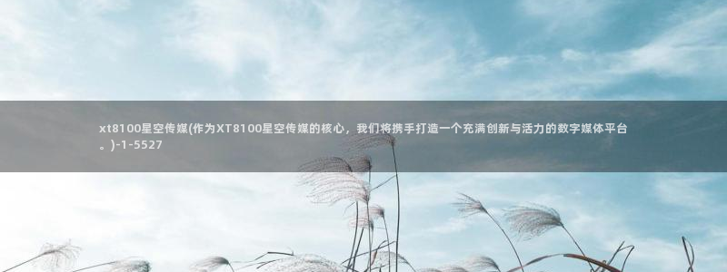 星空传媒蓬溪：xt8100星空传媒(作为XT8100星空传媒的核心，我们将携手打造一个充满创新与活力的数字媒体平台。)