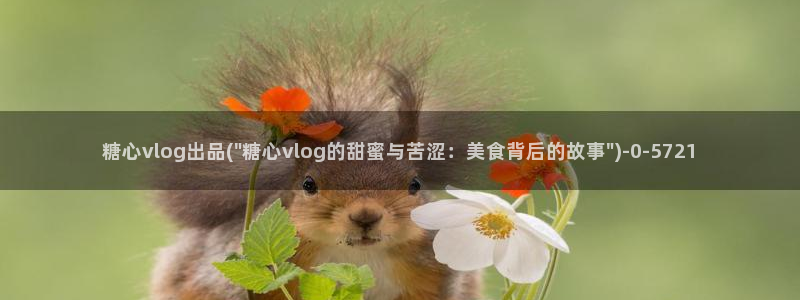 糖心vlog在线免费观看