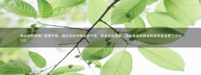 糖心vlog破解视频