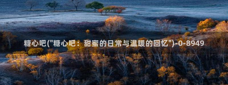 心糖vlog短视频