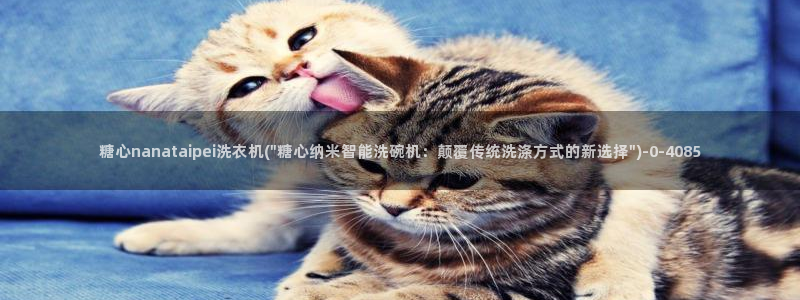 九一糖心vlog