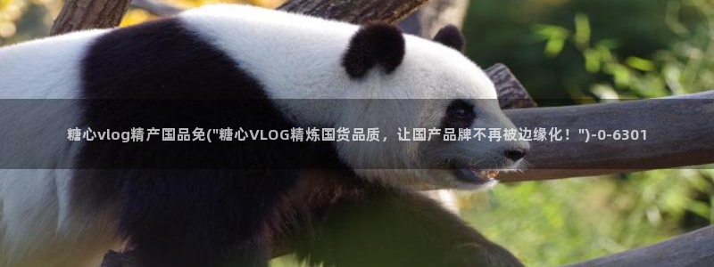 糖心vlog在线观看视频