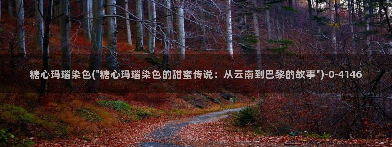 糖vlog心