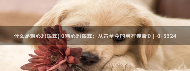糖心vlog破解教程