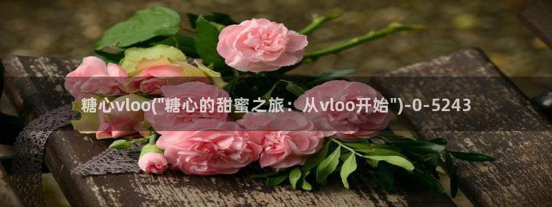 糖心在线观看vlog